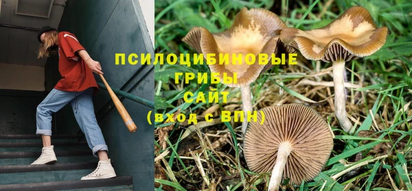mdpv Покров