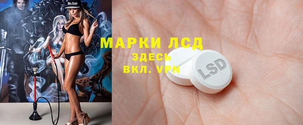 ГАЛЛЮЦИНОГЕННЫЕ ГРИБЫ Покачи