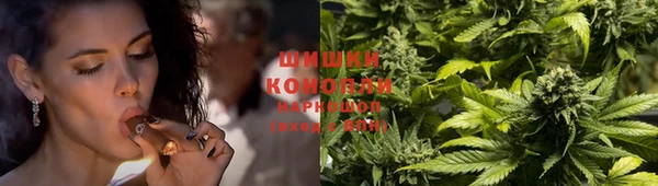 ГАЛЛЮЦИНОГЕННЫЕ ГРИБЫ Покачи