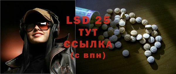 ГАЛЛЮЦИНОГЕННЫЕ ГРИБЫ Покачи
