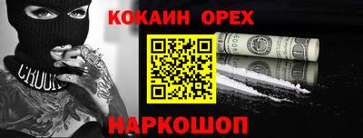 дмт Гатчина