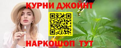 дмт Гатчина