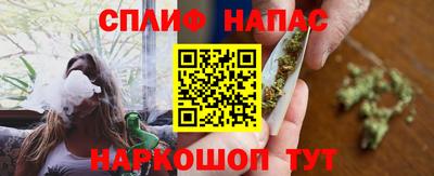 дмт Гатчина
