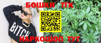 индика Гагарин