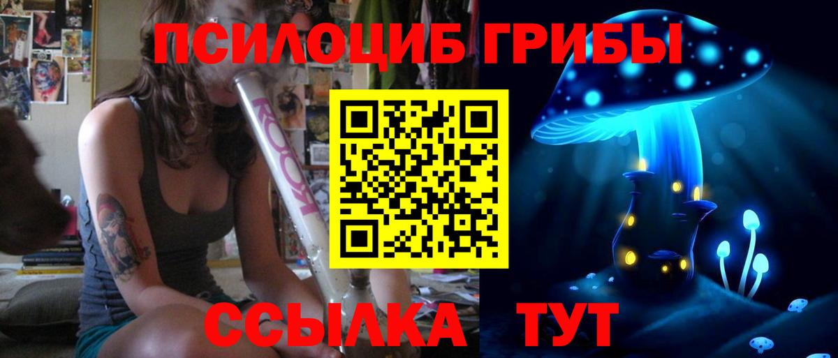 Псилоцибиновые грибы мицелий  Электрогорск 