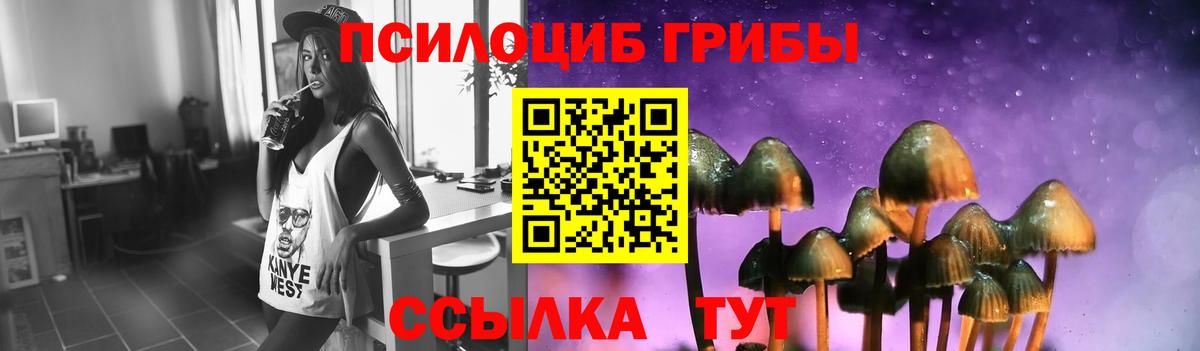 Псилоцибиновые грибы MAGIC MUSHROOMS  Вход с VPN  Псилоцибиновые грибы мухоморы  Электрогорск 
